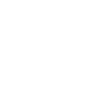 Пробная партия